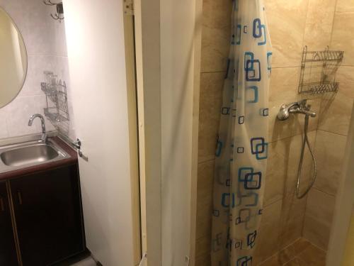 a bathroom with a shower with a sink and a mirror at Hotel Sabina in Riga