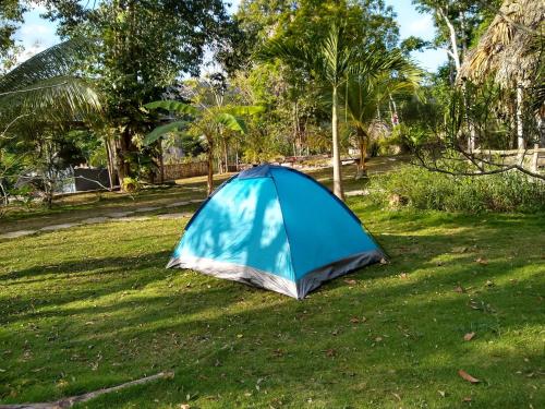 a blue tent sitting in the grass in a field at Alice Guesthouse in El Remate