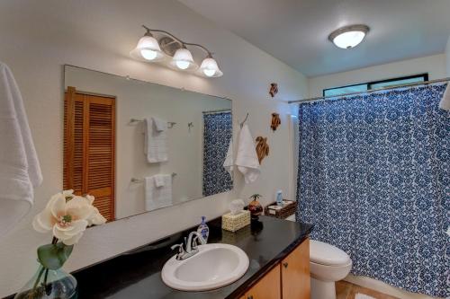 a bathroom with a sink and a toilet and a mirror at Hamakua Pukana La Hale home in Papaaloa