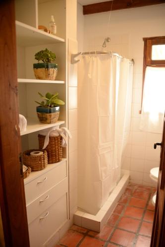 een badkamer met een douche met een douchegordijn bij GOLF - Casa de huéspedes in Tandil