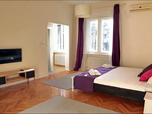 Un dormitorio con una cama grande y un televisor. en Apartment Central, en Belgrado