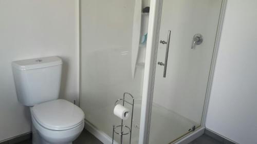 a white bathroom with a toilet and a shower at Executive Home in Kaikoura