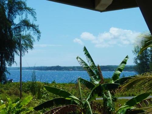 a view of a body of water with a palm tree at Hale Ki'i Maka Manu home in Keaau