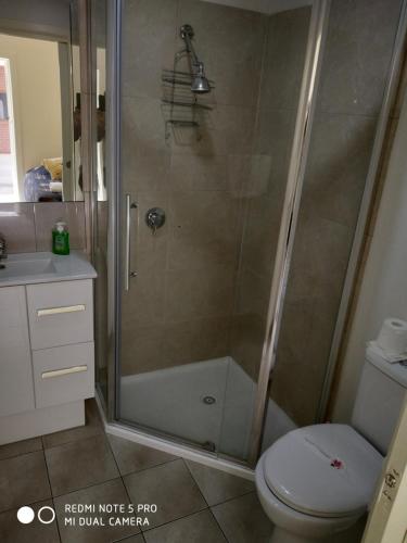 a bathroom with a shower, toilet, and sink at Albury Central Motel in Albury
