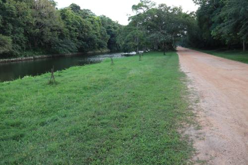 a dirt road next to a river with trees at Thal Sewana in Sigiriya