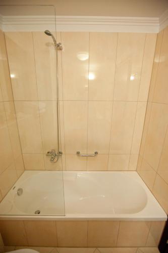 a bathroom with a tub with a shower and a toilet at Filokalia Hotel in Ioannina