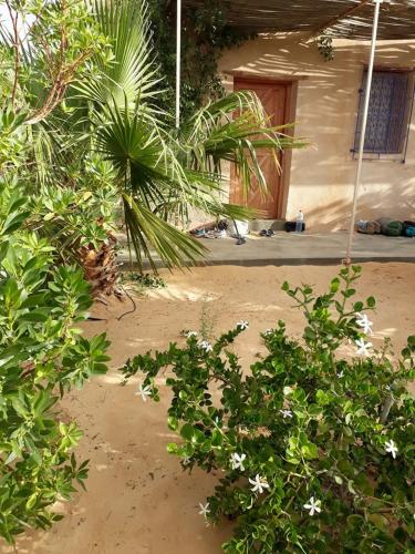 a house with a bunch of plants in front of it at Grand Sud, la maison de sable in Douz