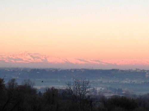 a bird flying in the sky with snow covered mountains at Ecolodge Langhe in Cherasco