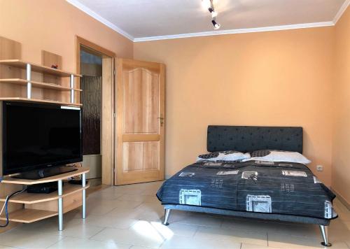 a bedroom with a bed and a flat screen tv at Ferienhaus am Wiesenweg in Hosena