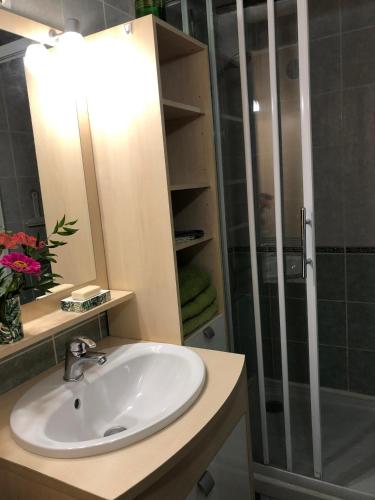 a bathroom with a sink and a shower at Gîte des 2 frères in Saint-Pierre-de-Maillé