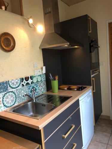 uma cozinha com um lavatório e um fogão em Gîte des 2 frères em Saint-Pierre-de-Maillé