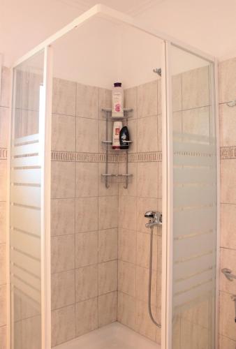a shower with a glass door in a bathroom at Apartment Achilles in Litochoro