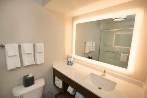 uma casa de banho com um lavatório e um espelho em Holiday Inn Express Hotel & Suites Madison, an IHG Hotel em Madison