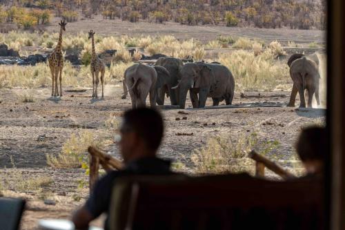 un grupo de jirafas y elefantes en un campo en Hobatere lodge, en Otjovasandu