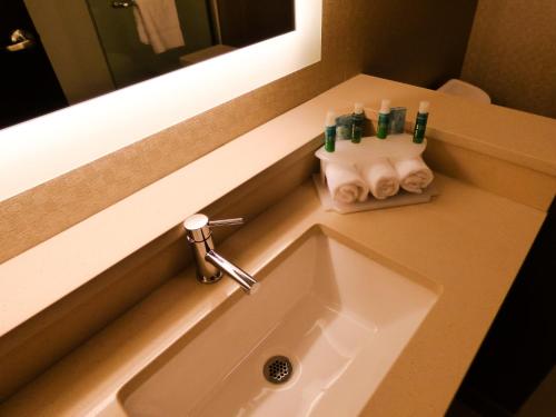 Kupatilo u objektu Holiday Inn Express & Suites Plymouth - Ann Arbor Area, an IHG Hotel