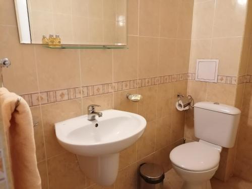 a bathroom with a white sink and a toilet at Rusaliite Adventure House in Bachevo