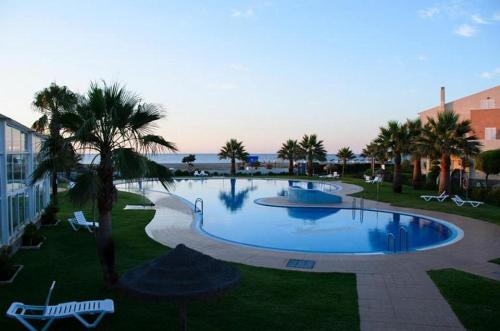 a large swimming pool with palm trees in a resort at Vera Natura, Apartamento Carmen in Vera