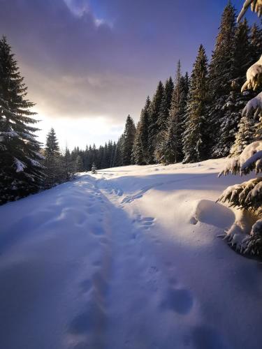 a snow covered road with footprints in the snow at Chata pod Studničnou in Pec pod Sněžkou