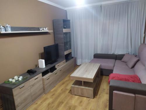 ein Wohnzimmer mit einem Sofa und einem TV in der Unterkunft Gonsa 1 in Padrón