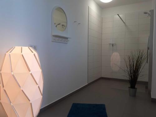 uma casa de banho com um chuveiro e um espelho na parede em Strandappartements Haus Strandkieker em Schönhagen