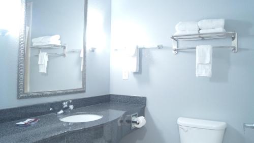 a bathroom with a sink and a toilet and a mirror at Magnolia Inn and Suites Olive Branch in Olive Branch