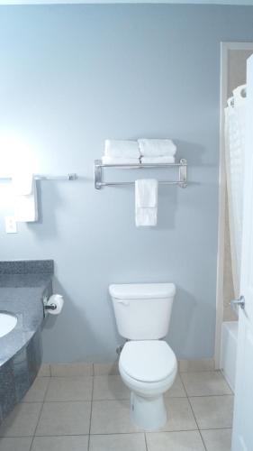 a bathroom with a white toilet and a sink at Magnolia Inn and Suites Olive Branch in Olive Branch