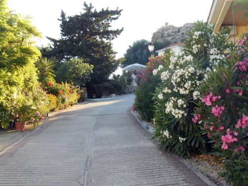 an empty street with flowers in a garden at Polytropon Studio ground floor in Kefallonia