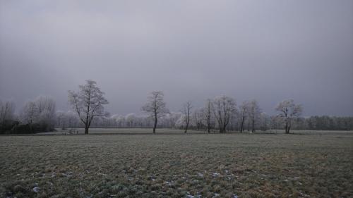 a field with trees in the middle of it at Bed & Breakfast El Manso in Emst