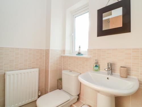 un bagno con un water e un lavandino di Ripple a Bodmin