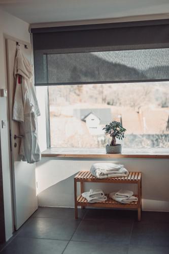 a window in a room with a table and a plant at eco boutique hotel AMS Beagle in Bled