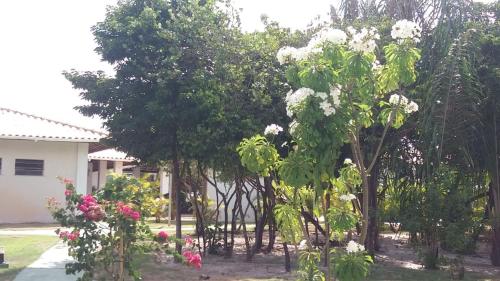 Taman di luar Vila dos Lírios -Tranquilidade e Natureza