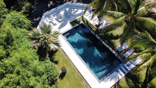 an overhead view of a swimming pool with palm trees at Tipalais in Saint-Pierre
