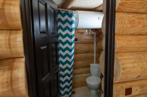 a small bathroom with a toilet in a log cabin at Pensiunea Lupul Dacic in Costeşti