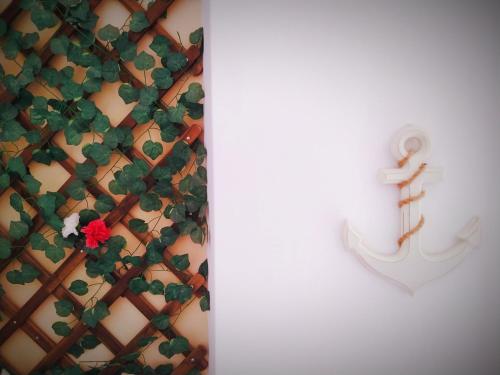 a wall with a c ivy and an anchor at Hostal Casa Nautilus in Cádiz