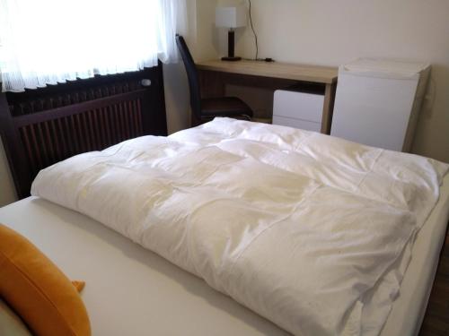 Ένα ή περισσότερα κρεβάτια σε δωμάτιο στο Hotel Zentrum