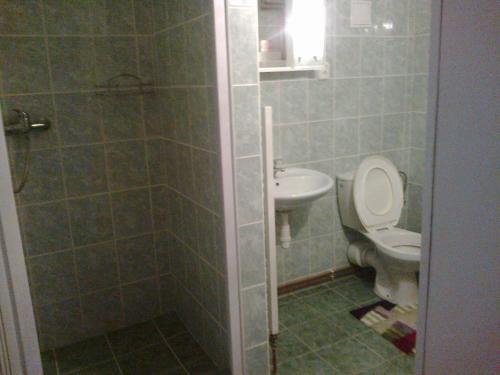 Kupatilo u objektu Ubytování v soukromí Kouba