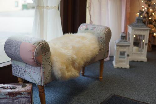 a white dog laying on top of a chair at Hotel Eleon in Bad Teinach-Zavelstein