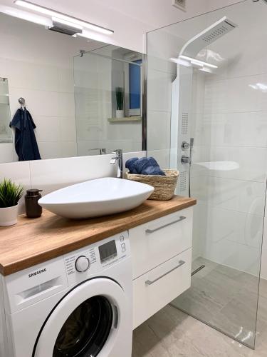 a bathroom with a washing machine and a sink at Apartament Szosa Chełmińska in Toruń