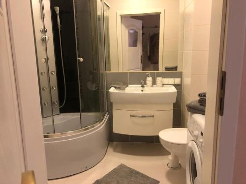 a bathroom with a sink and a shower and a toilet at Aquasfera in Reda
