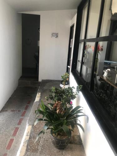a hallway with potted plants on the side of a building at El Yarumo Hostel in Bogotá