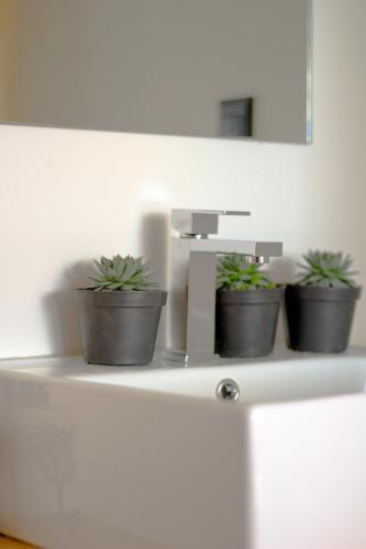 three potted plants sitting on top of a counter at Hostal Hidalgo in Guadalajara