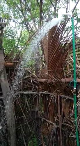 a water hose spraying water on a palm tree at Mida Creek Nature Camp in Watamu
