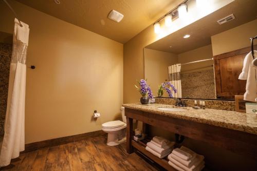 a bathroom with a sink and a toilet and a mirror at Cable Mountain Lodge in Springdale