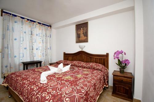 伊斯塔潘德拉薩爾的住宿－Hotel Yara，相簿中的一張相片