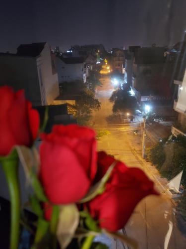 a group of red roses on a city street at night at Biên Hòa Hotel in Bien Hoa