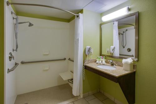 a bathroom with a sink and a mirror at Holiday Inn Express Hotel Raleigh Southwest, an IHG Hotel in Raleigh