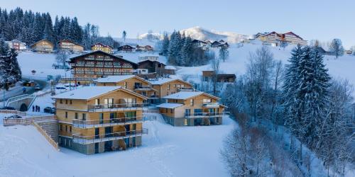 an aerial view of a resort in the snow at Panorama Lodge Premium Apartments in Schladming