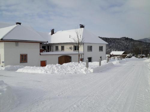 a house is covered in snow at Ferienwohnung-Mühlviertel in Oepping