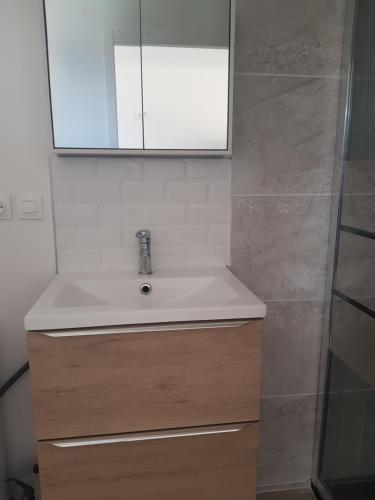 a bathroom with a sink and a mirror at Dépendance 29m2 climatisée in Saint-Gilles