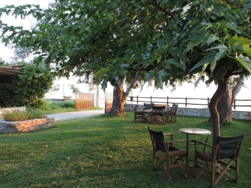 a table and chairs under a tree in a yard at Pandora Studios in Kala Nera